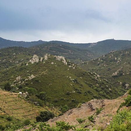 Gite Rez De Chaussee Entre Mer Et Montagne Collioure Exterior foto