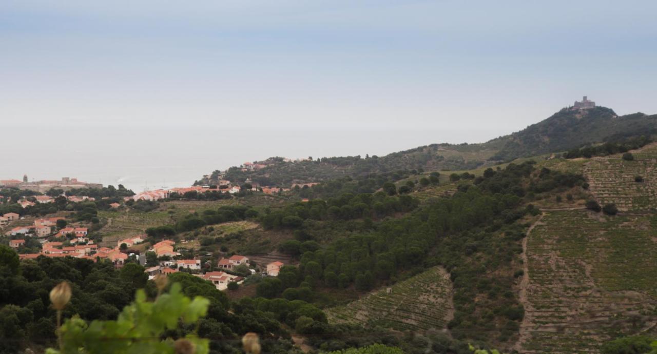 Gite Rez De Chaussee Entre Mer Et Montagne Collioure Exterior foto